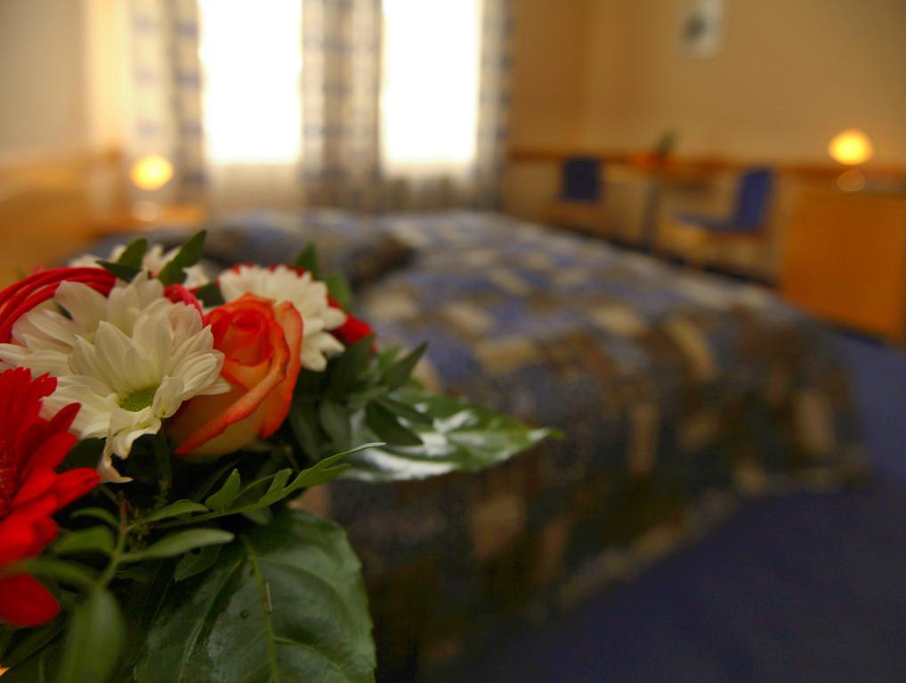 Hotel Hejtman Prag Oda fotoğraf
